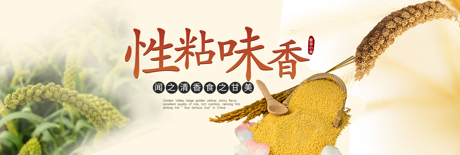 華倫線(xiàn)纜